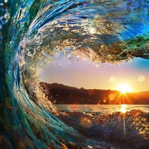 Meet your Posher, Shauna